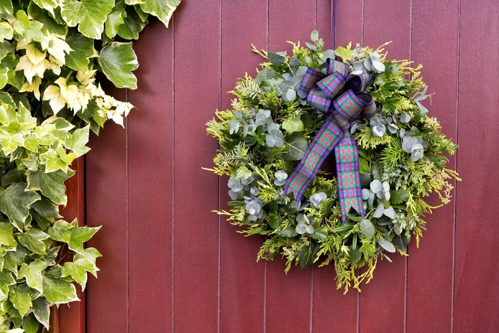 Christmas Wreath Decorated with Ribbon Christmas Wreath Decorated with Ribbon