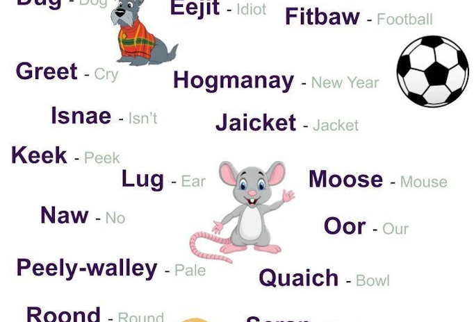 School of ScotlandShop - Scots Language A-Z | ScotlandShop