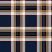 AnnaR: Tessuti Scozzesi O Tartan - Foto 11